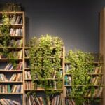 Bibliothèque avec plantes grimpantes d'intérieur